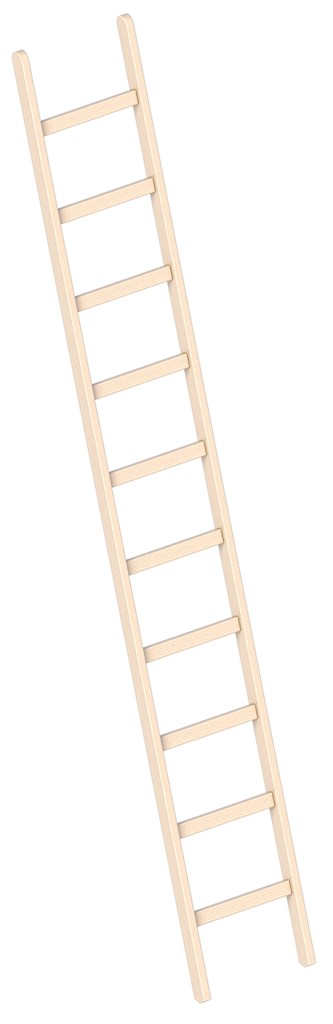 Enkele houten Ladder 10 Sporten