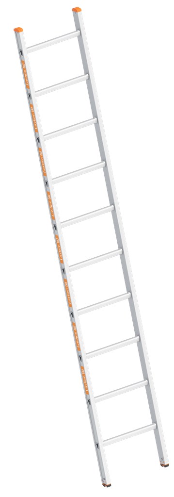 Enkele Ladder 10 Sporten